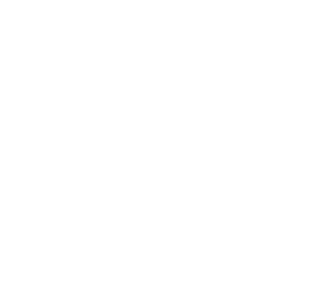 Logo In white Color